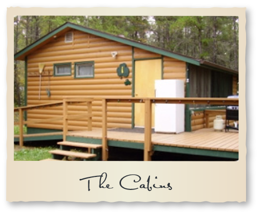 Tobin Lake Fishing Vacation Reel Em Inn Cabins